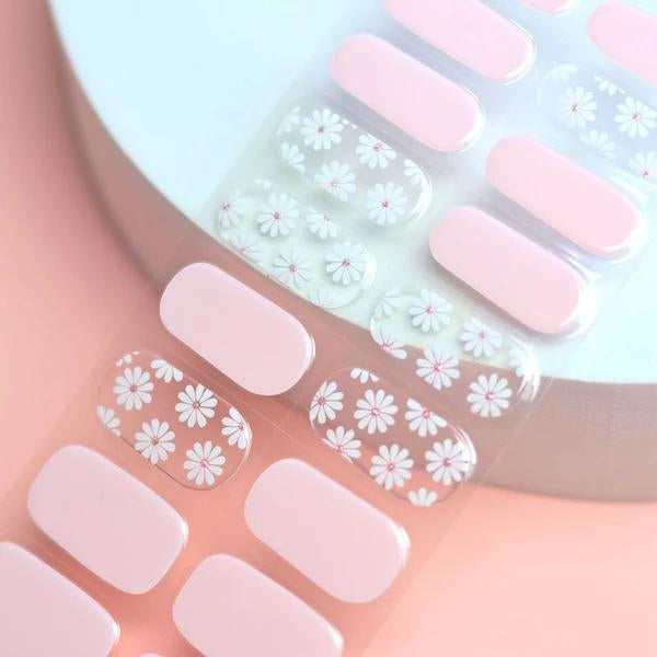 ★ Daisy fame